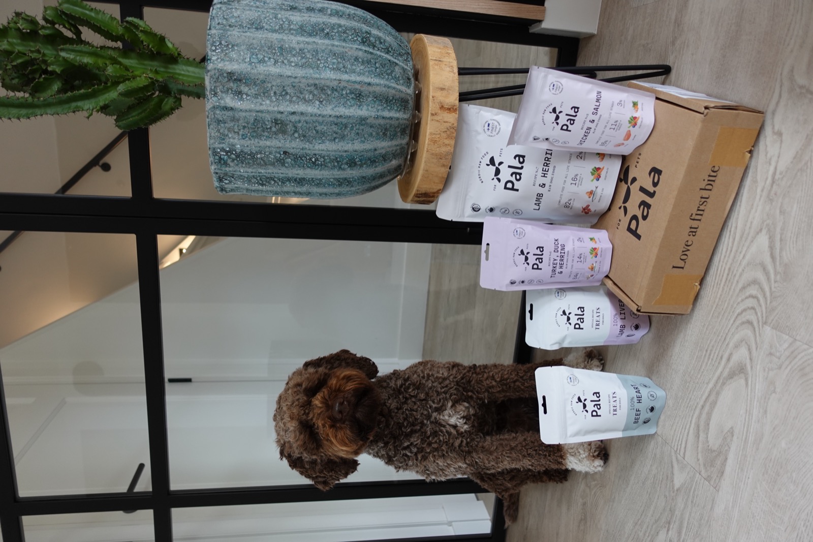 @timmie.the.lagotto